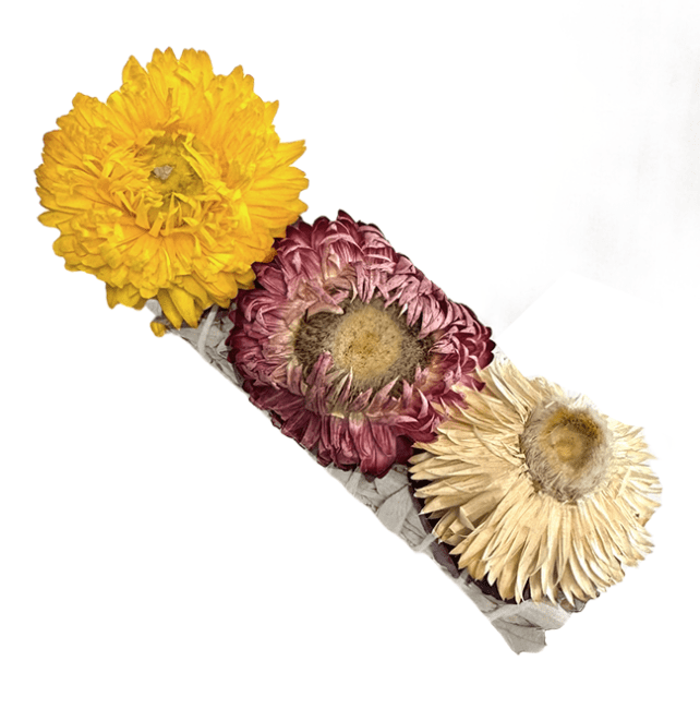 Fagottino Fiori di Salvia Bianca e Paglia 25-30gr 10cm